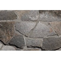 Златолит Серебряный